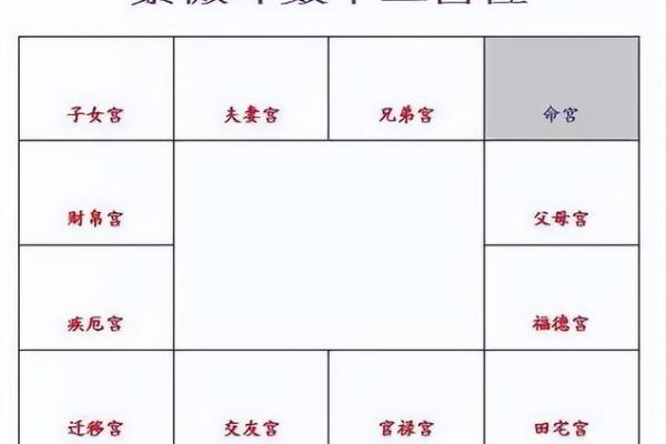 2025年3月8日寅时女命紫微斗数全解盘