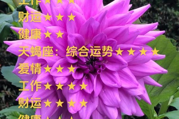 2025年4月6日天秤座运势(天秤座2021年4月6日运势) 2025年4月6日天秤座运势(天秤座2021年4月6日运势)