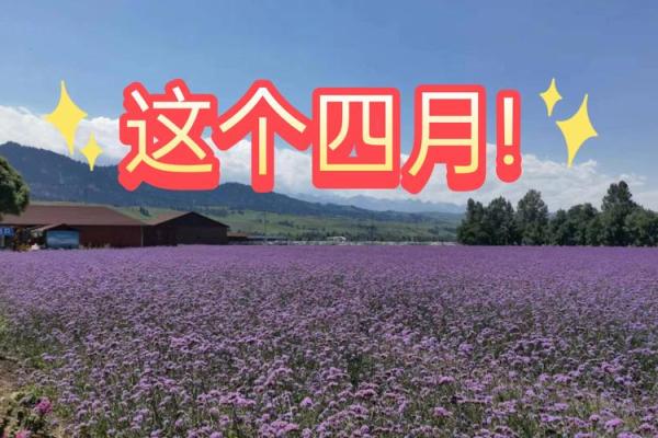 2021年4月适宜动土的日子是 2021年4月适宜动土的日子是