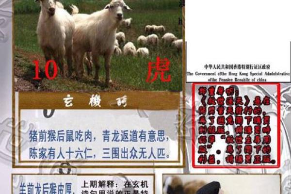 春光明媚指什么生肖 春光明媚指什么生肖