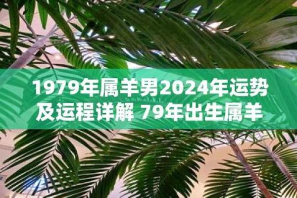 67年属羊男2024年运势及运程_2024年67年属羊男运势解析运程详解与吉凶预测