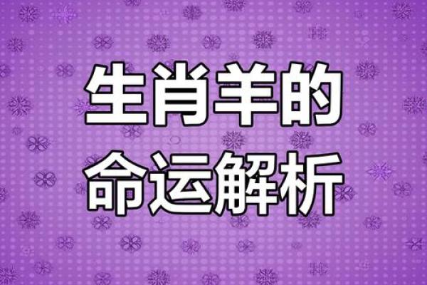1979年属羊今日财运解析吉凶预测与提升技巧