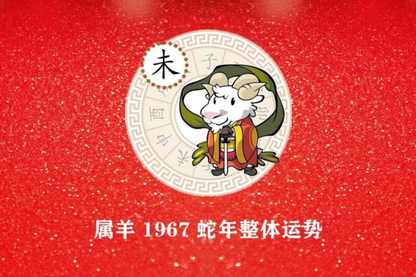 1967年属羊的今年多大岁数_1967年属羊的今年多大岁数了