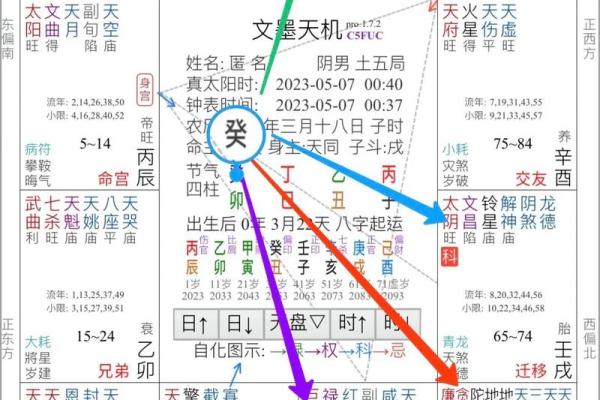 2025年4月9日酉时女命紫微斗数全解盘