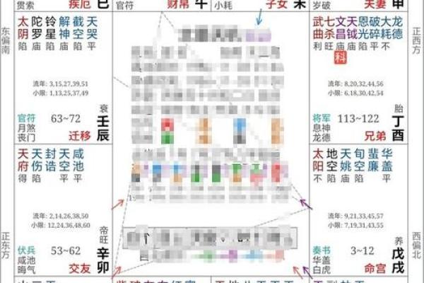 2025年4月1日戌时男命紫微斗数全解盘