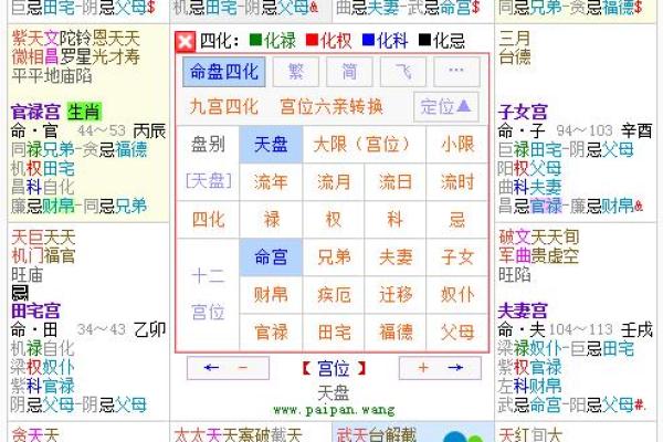 2025年4月9日寅时女命紫微斗数全解盘