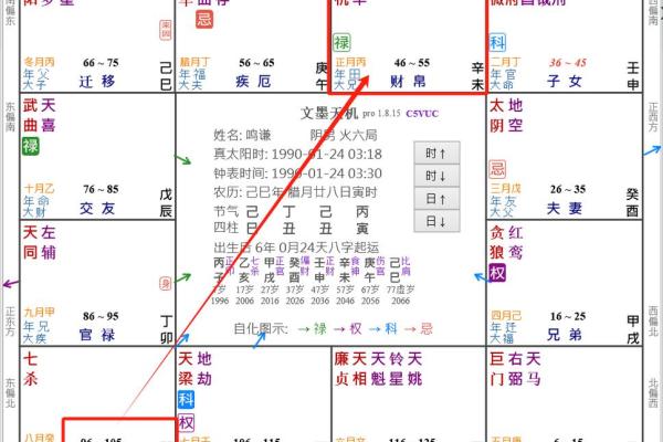 2025年4月9日亥时女命紫微斗数全解盘