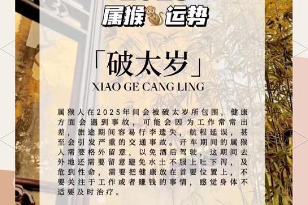 79年属羊男2025年的大难 79年属羊男2025年大难预警如何化解危机 79年属羊男2025年的大难 79年属羊男2025年大难预警如何化解危机