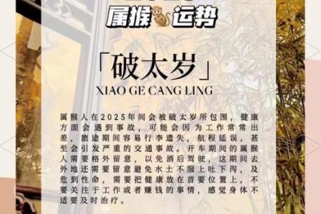 79年属羊男2025年的大难 79年属羊男2025年大难预警如何化解危机