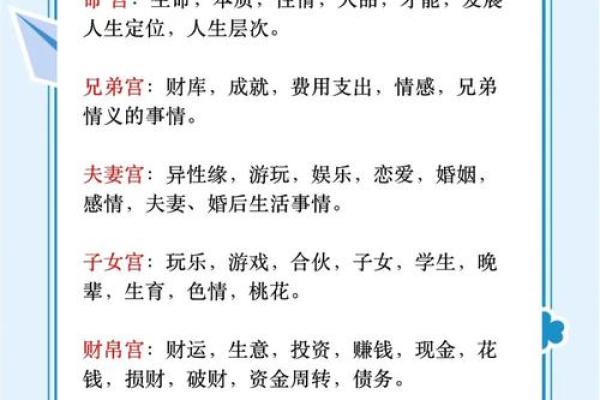 2025年4月10日亥时男命紫微斗数全解盘