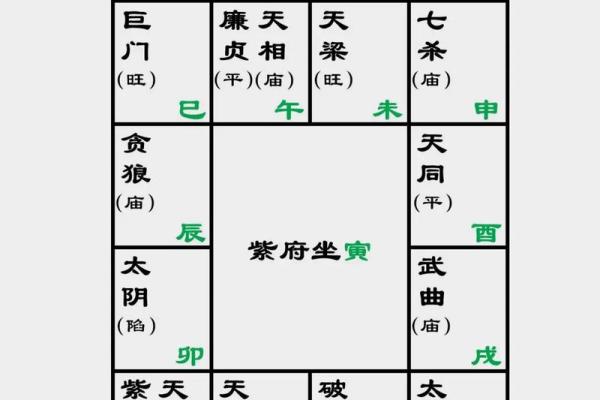 2025年4月3日辰时男命紫微斗数全解盘