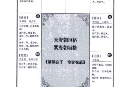 2025年4月18日巳时男命紫微斗数全解盘