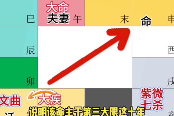 2025年4月4日巳时女命紫微斗数全解盘