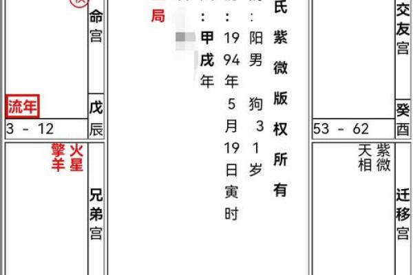 2025年4月9日巳时男命紫微斗数全解盘 2025年4月9日巳时男命紫微斗数全解盘