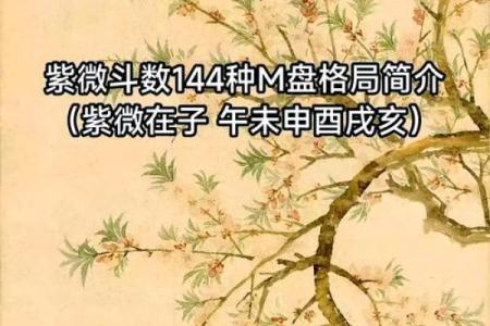 2025年4月27日丑时男命紫微斗数全解盘