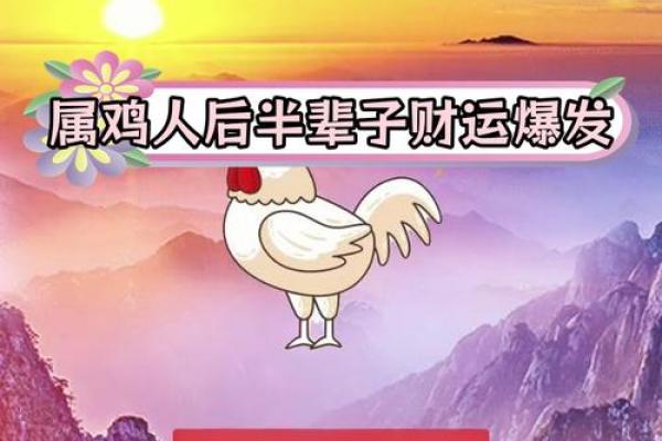 属鸡人2026年运势详解全年运程大揭秘