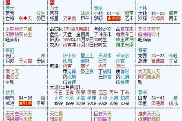 2025年4月7日寅时男命紫微斗数全解盘