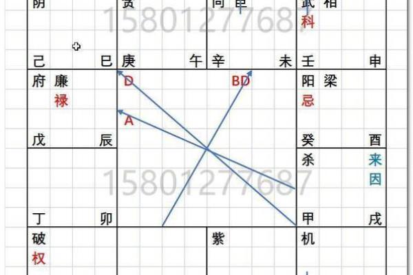 2025年4月3日丑时男命紫微斗数全解盘
