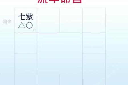 2025年4月7日戌时男命紫微斗数全解盘