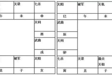 2025年4月28日酉时男命紫微斗数全解盘