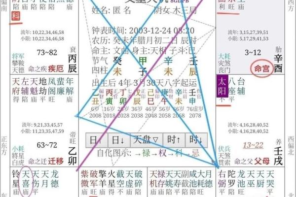 2025年4月9日子时女命紫微斗数全解盘