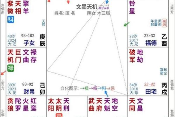 2025年4月1日亥时男命紫微斗数全解盘