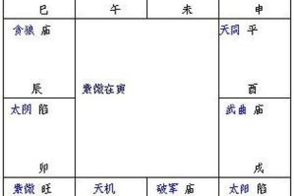 2025年4月7日申时男命紫微斗数全解盘
