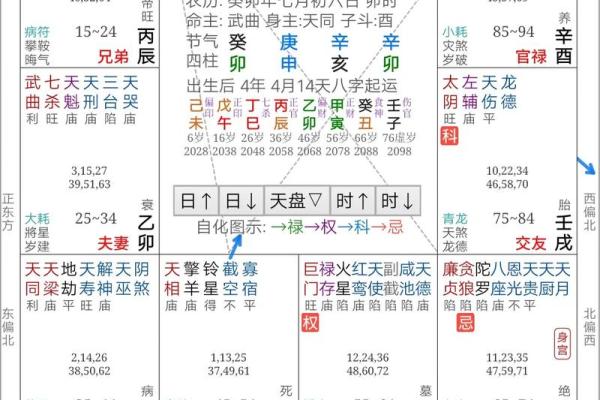 2025年4月2日子时女命紫微斗数全解盘