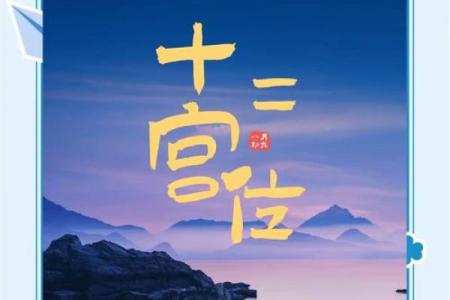 2025年4月29日亥时女命紫微斗数全解盘