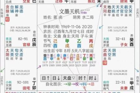 2025年4月5日卯时女命紫微斗数全解盘