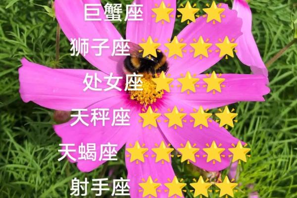 2024年属羊要出大事 会发生什么大事_十二星座