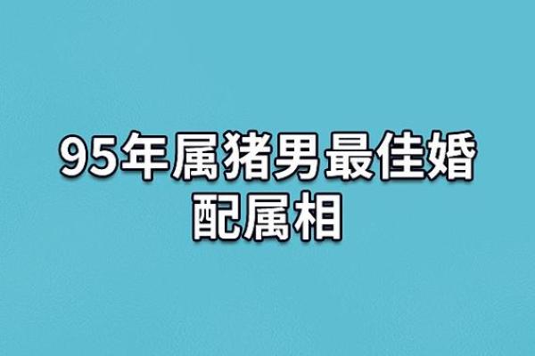 2025年属猪的几月结婚最佳 95年属猪的最佳配偶