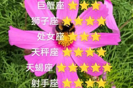2024年属羊要出大事 会发生什么大事_十二星座