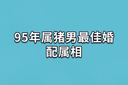 2025年属猪的几月结婚最佳 95年属猪的最佳配偶
