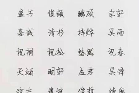 2019年5月20号丑时出生的男孩起名方法姓名