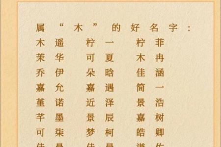 带木字旁的男孩名字-名字大全-姓名学-华易算命网姓名
