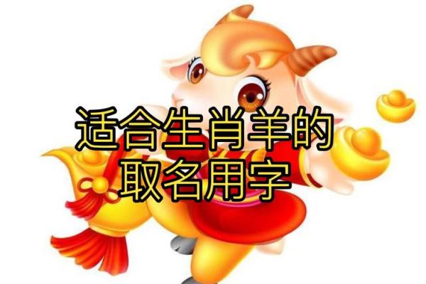晚上十点出生的属羊男孩如何起名，适合什么字姓名