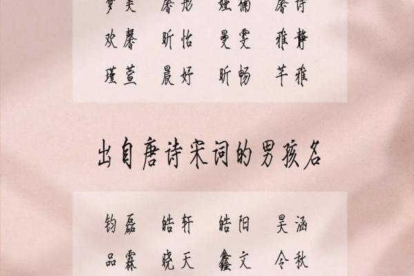 2019年3月30号未时出生的男孩起名方法姓名