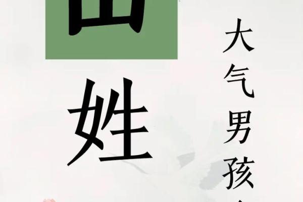 2019年6月16号子时出生的男孩要怎么起名字姓名