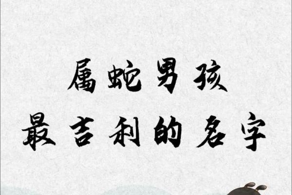 2月份出生的属蛇男孩适合取什么名字姓名