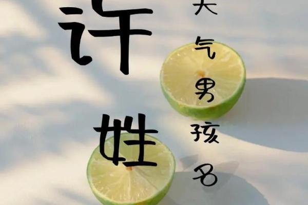 姓许的名人-名人大全-姓名学-华易算命网姓名