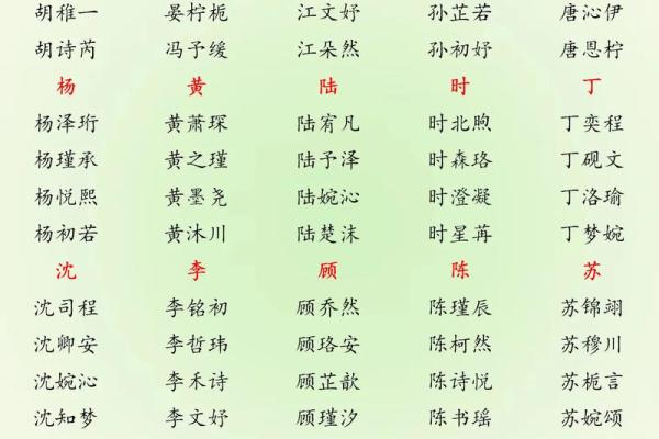 2019年3月24号亥时出生的男孩起名时要注意什么姓名