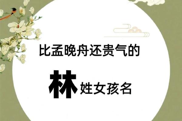 林姓男孩名字大全-林姓男孩起名字大全-林姓名字大全姓名
