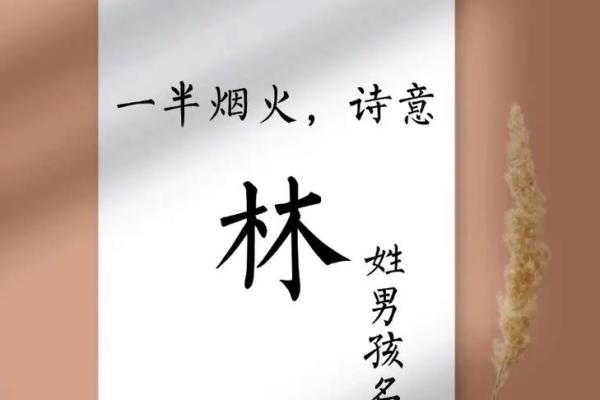 林姓男孩名字大全-林姓男孩起名字大全-林姓名字大全姓名