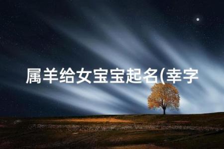 晚上十点出生的属羊男孩如何起名，适合什么字姓名