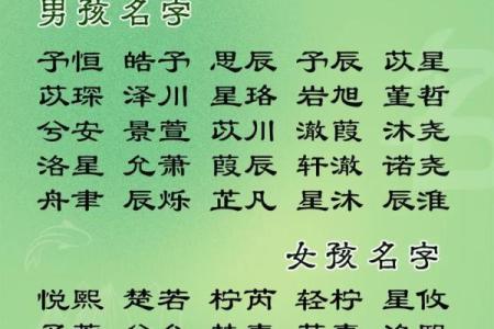 2019年3月30号未时出生的男孩起名方法姓名