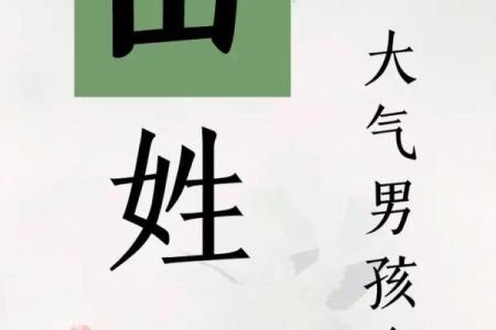 2019年6月16号子时出生的男孩要怎么起名字姓名