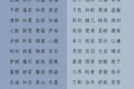 2019年4月5号丑时出生的男孩起名时要注意什么姓名