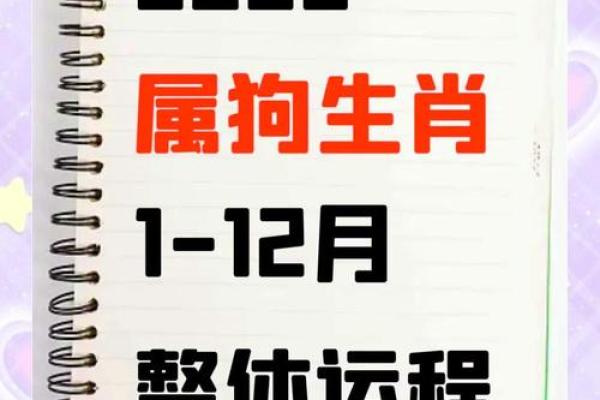 上午11点出生的属狗男孩怎么取名，用什么字好姓名