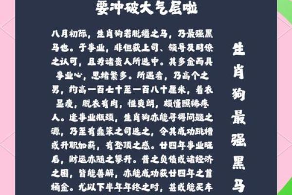 五月份出生的属狗男孩应该如何取名字姓名